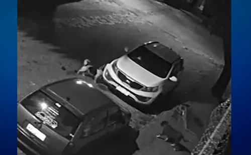 
          Imagem ilustrativa da imagem Cachorros atacam carro, destroem para-choque e deixam dona sem reação
          