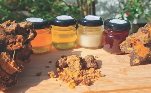 
          Imagem ilustrativa da imagem Colatina: cultura, lazer e gastronomia na Rota da Pereveca
          