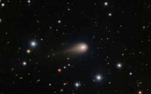 
          Imagem ilustrativa da imagem Cometa de fora do sistema solar intriga cientistas e atrai atenção internacional
          