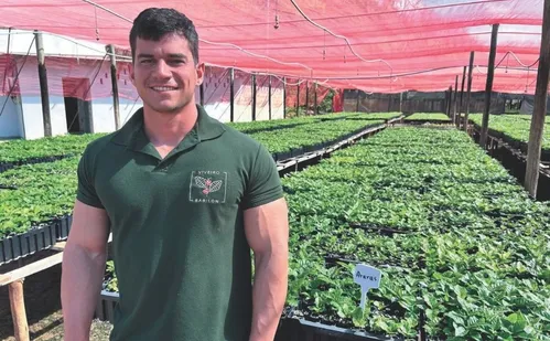 
          Imagem ilustrativa da imagem Ecoturismo e aventura em passeio por Itaguaçu
          