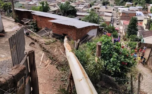 
          Imagem ilustrativa da imagem Eucalipto de 40 metros cai e atinge casas no ES
          