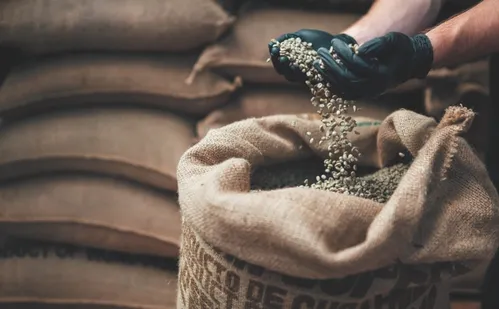 
          Imagem ilustrativa da imagem Exportação de café do Espírito Santo para 62 países em 2025
          