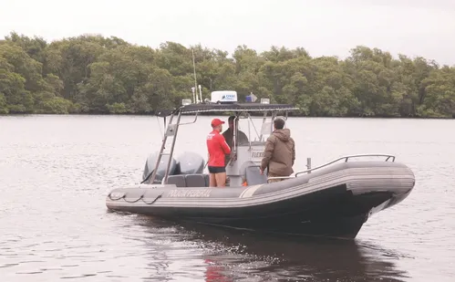 
          Imagem ilustrativa da imagem Famílias em busca de 2 mil desaparecidos no Espírito Santo
          