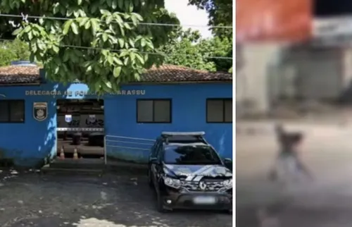 
          Imagem ilustrativa da imagem Em Igarassu, suspeito leva vítima em cavalo e abandona corpo atrás da delegacia
          