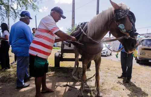 
          Imagem ilustrativa da imagem “Fim da era das carroças”: primeiros condutores recebem bikes e indenização
          