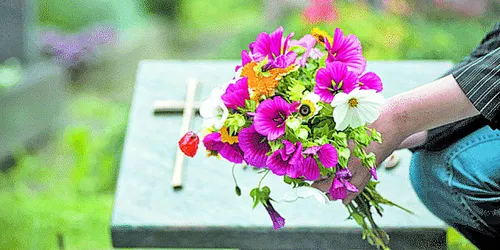 
          Imagem ilustrativa da imagem Finados: variação do preço de flores chega a 400% em Vitória
          