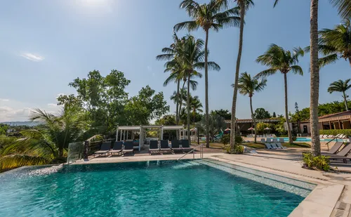 
          Imagem ilustrativa da imagem Flamboyant entre os melhores
          