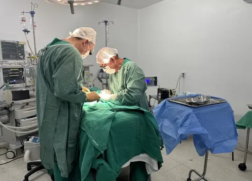 
          Imagem ilustrativa da imagem Gêmeos siameses recém-nascidos morrem em Goiás após cirurgias
          