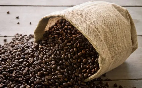 
          Imagem ilustrativa da imagem Grão que vale ouro: Corrida no Caparaó vai premiar vencedores com sacas de café
          