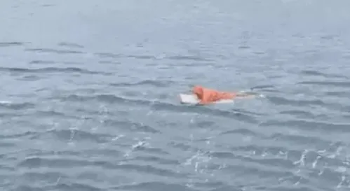 
          Imagem ilustrativa da imagem Homem agarrado a porta de geladeira é resgatado após naufrágio em SC
          