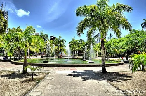 
          Imagem ilustrativa da imagem INSS promove atendimento a idosos nesta segunda-feira (3) no Parque 13 de Maio
          