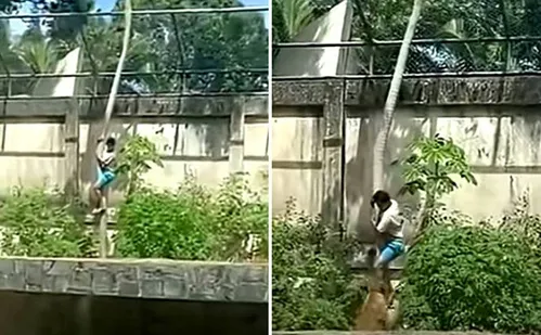 
          Imagem ilustrativa da imagem Jovem morto em zoo tinha transtornos mentais e queria cuidar de leões na África
          