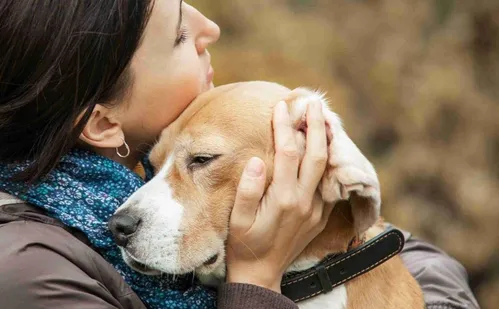 
          Imagem ilustrativa da imagem Luto por pets pode ser pior do que a perda de parentes
          