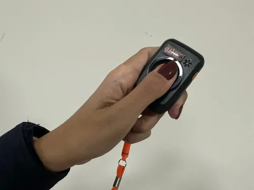 
          Imagem ilustrativa da imagem Mais de 530 dias sem feminicídios
          