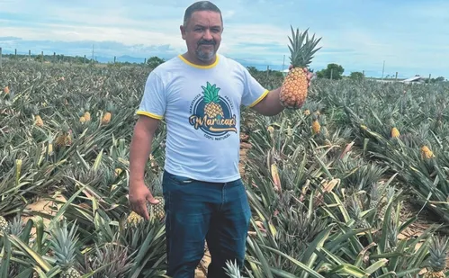 
          Imagem ilustrativa da imagem Marataízes: inovação na terra do abacaxi “doce como mel”
          