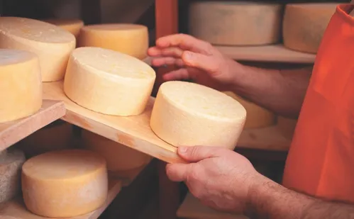 
          Imagem ilustrativa da imagem Nomes de queijos vão mudar em meio a acordo entre Mercosul e União Europeia
          