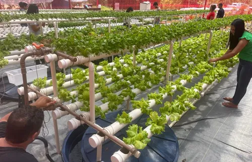 
          Imagem ilustrativa da imagem Obra de Maria e Codevasf firmam parceria para levar água a comunidades vulneráveis
          