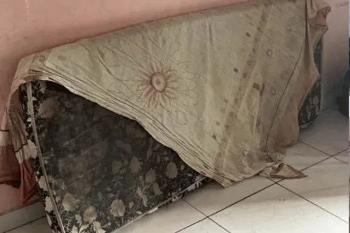 
          Imagem ilustrativa da imagem Operação resgata 23 trabalhadores em condições análogas à escravidão em Goiana
          