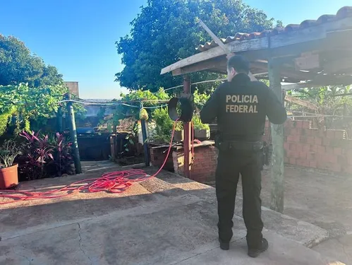 
          Imagem ilustrativa da imagem PF deflagra operação contra tráfico internacional de drogas pelos Correios
          