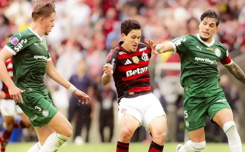 
          Imagem ilustrativa da imagem Palmeiras x Flamengo: ingressos para final da Libertadores custam acima de R$ 1 mil
          