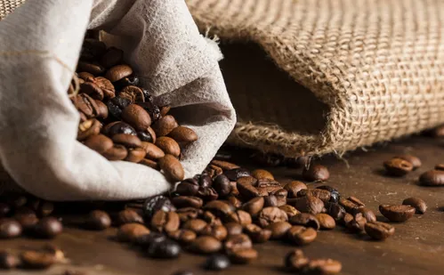 
          Imagem ilustrativa da imagem Parceria vai utilizar gás no lugar de lenha para a secagem do café
          