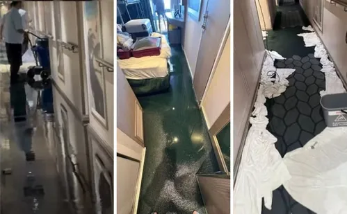 
          Imagem ilustrativa da imagem Passageiros são retirados de cabines após inundação em navio de cruzeiro no Brasil
          