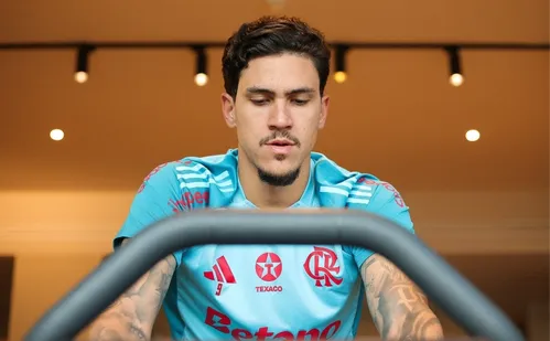 
          Imagem ilustrativa da imagem Pedro antecipa o retorno das férias e se apresenta
          