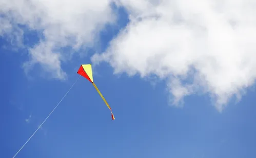 
          Imagem ilustrativa da imagem Pipas deixaram 170 mil imóveis sem energia no Espírito Santo
          