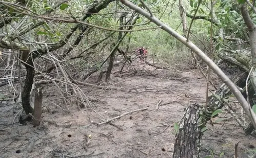 
          Imagem ilustrativa da imagem Polícia confirma que corpo encontrado em mangue é de servidor público desaparecido
          