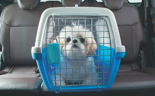 
          Imagem ilustrativa da imagem Polícia explica o limite de cargas em viagens
          