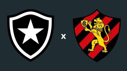 
          Imagem ilustrativa da imagem Pré-jogo: confira as informações de Botafogo x Sport, pela Série A
          