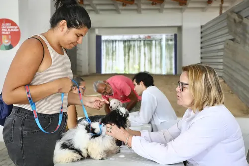 
          Imagem ilustrativa da imagem Prefeitura do Recife promove dia de vacinação, adoção e atendimento veterinário
          