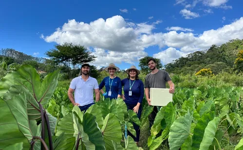 
          Imagem ilustrativa da imagem Produção de inhame cresce no Espírito Santo
          