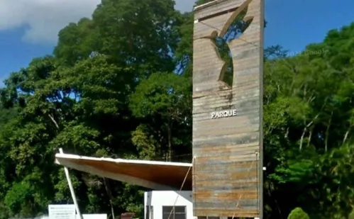 
          Imagem ilustrativa da imagem Santa Teresa terá Ecoparque e campus de Instituto Mata Atlântica em nova área
          