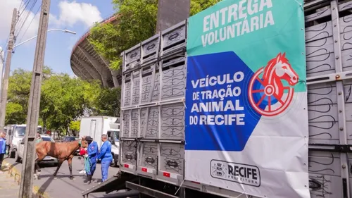 
          Imagem ilustrativa da imagem Segunda rodada do censo dos carroceiros do Recife termina amanhã (10)
          