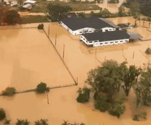 
          Imagem ilustrativa da imagem Seis cidades decretam estado de emergência após chuva causar destruição em SC
          