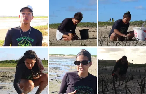 
          Imagem ilustrativa da imagem Seis jovens plantam mais de 15 mil mudas e fazem renascer o mangue em Itamaracá
          