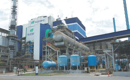 
          Imagem ilustrativa da imagem Suzano vai produzir 1 milhão de rolos de papel por dia no ES
          