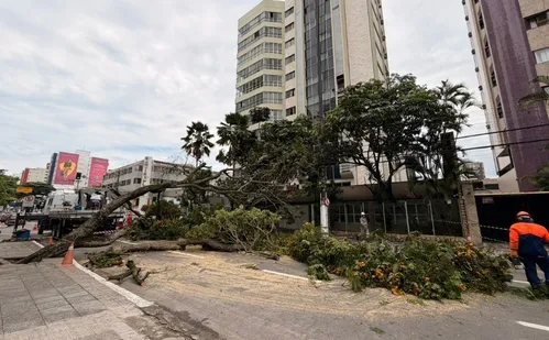 
          Imagem ilustrativa da imagem Tempestade derruba árvore e deixa moradores sem energia elétrica na Praia da Costa
          