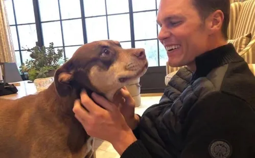 
          Imagem ilustrativa da imagem Tom Brady revela que clonou cachorra adotada com Gisele Bündchen
          
