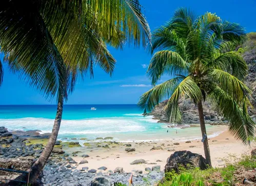 
          Imagem ilustrativa da imagem Turista de São Paulo morre após afogamento na Praia do Cachorro, em Noronha
          