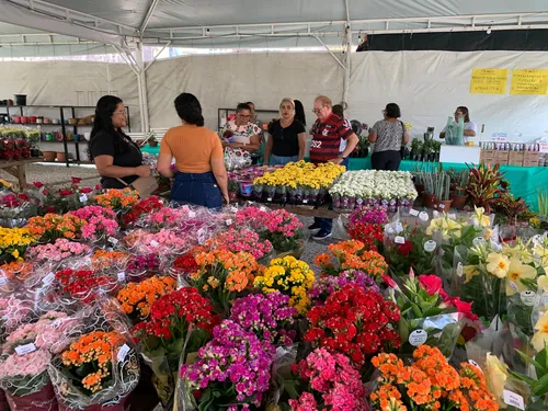 
          Imagem ilustrativa da imagem Última semana do Festival Flores de Holambra no Recife
          