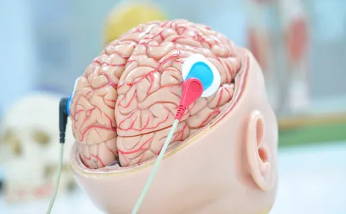 
          Imagem ilustrativa da imagem Unesco faz recomendação inédita para uso ético da neurotecnologia
          