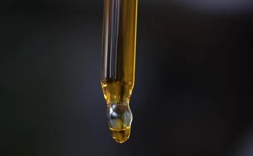 
          Imagem ilustrativa da imagem Uso de óleo de canabidiol por crianças autistas traz melhora na sociabilidade
          