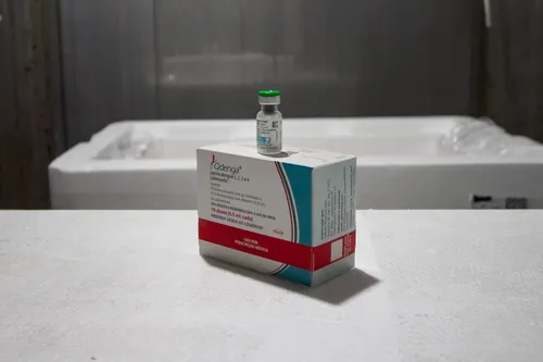 
          Imagem ilustrativa da imagem Vacina contra a dengue: Pernambuco inicia a imunização para crianças e adolescentes
          