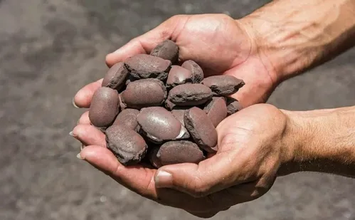 
          Imagem ilustrativa da imagem Vale busca parceiros para novo complexo industrial
          