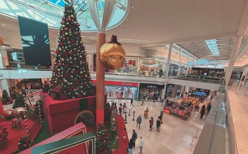 
          Imagem ilustrativa da imagem Veja o funcionamento de lojas e supermercados para compras de última hora no ES
          