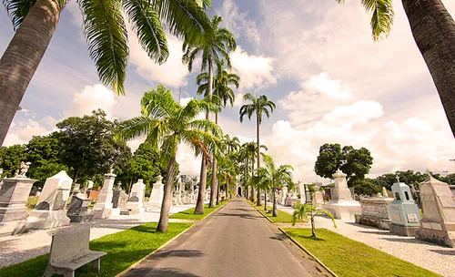 
          Imagem ilustrativa da imagem Feriadão altera serviços no Grande Recife; confira o que abre e fecha
          