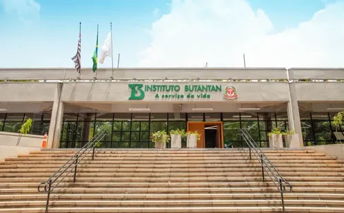 
          Imagem ilustrativa da imagem Veja quem vai poder tomar a nova vacina contra dengue
          