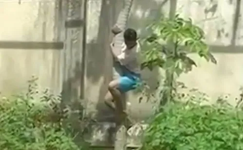 
          Imagem ilustrativa da imagem Zoológico em que leoa matou jovem vai reabrir com novas medidas de segurança
          